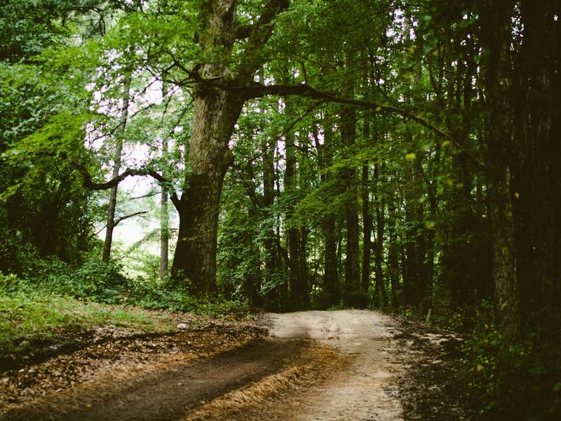 accessibility screenshot 6